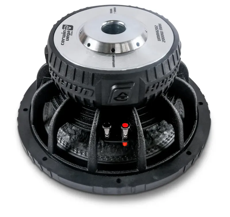 Cerwin Vega VMAXX 10